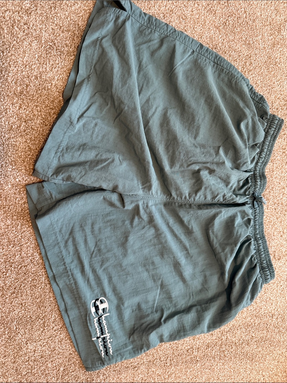 Champion Men's Athletic Shorts in Teal Green